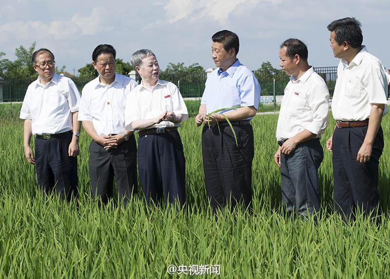 President Xi Jinping visited our plantation base in E’zhou